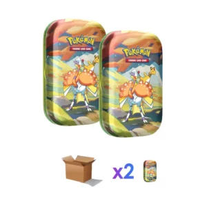 lot-2-jcc- Pokemon-destockage